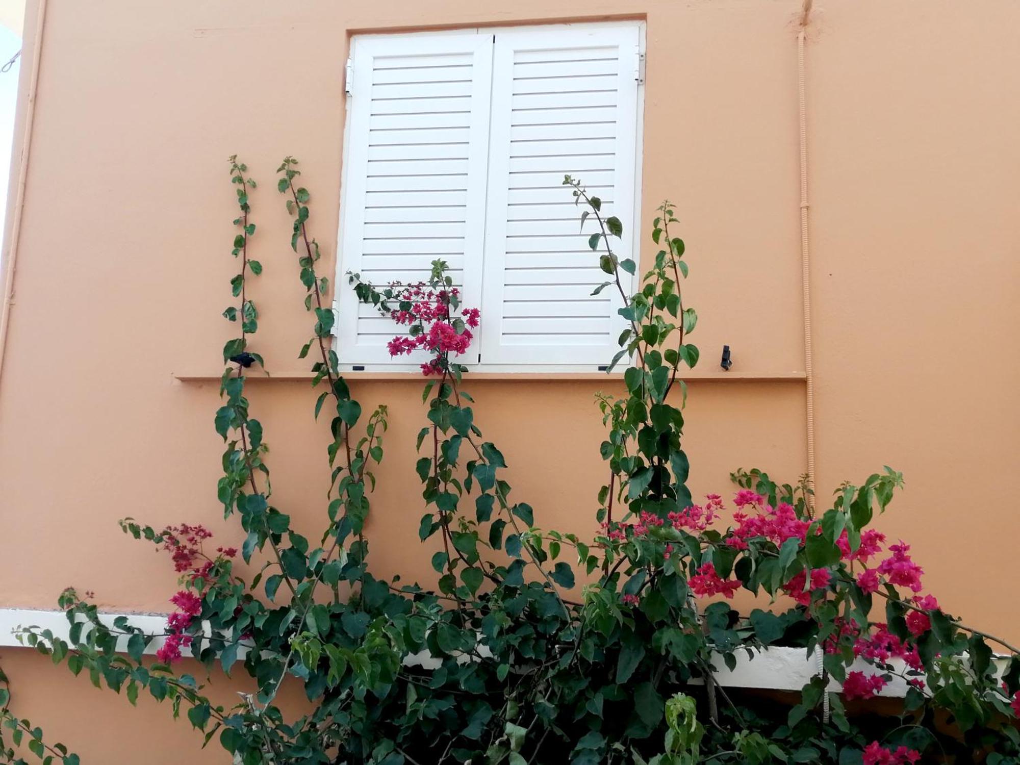 Katerina Rooms & Studios Palekastro Exterior foto